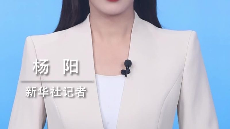 大数据分析系统选型：关键要素与误区解析